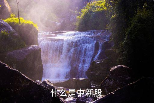什么是中新股