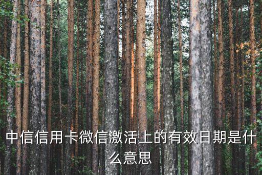 激活有效期是什么意思，蘋果的激活日期什么意思啊