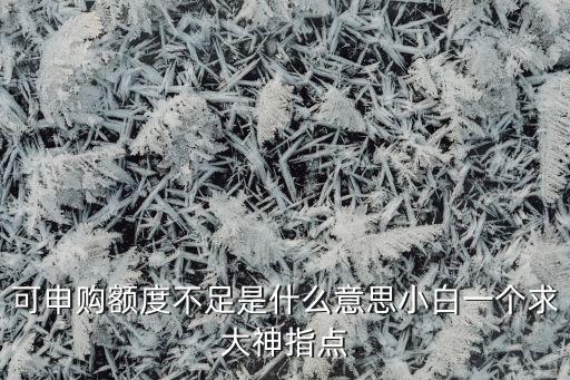 可申購額度不足是什么意思小白一個求大神指點