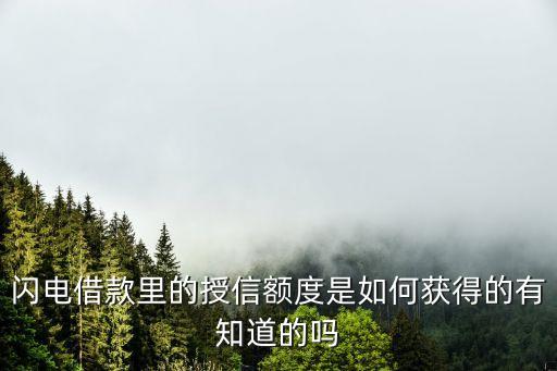 閃電借款里的授信額度是如何獲得的有知道的嗎