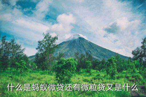 什么是螞蟻微貸還有微粒貸又是什么