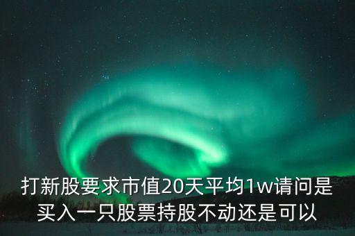 打新股市值20天什么意思，為什么申購(gòu)新股要持股20天