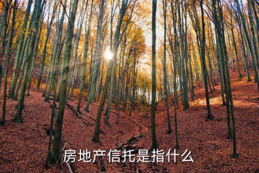 不動產(chǎn)投資信托是什么意思，reat是什么意思