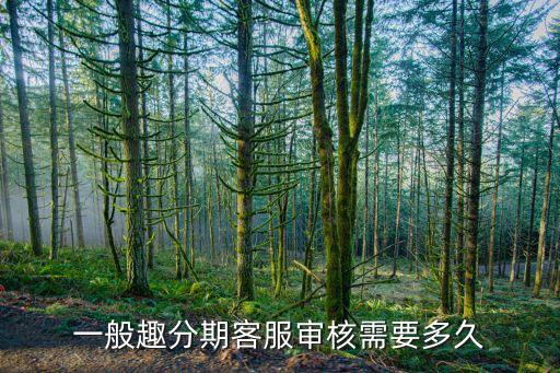 趣分期什么時候成立，一般趣分期客服審核需要多久