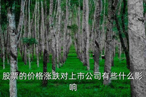 股票的價(jià)格漲跌對(duì)上市公司有些什么影響