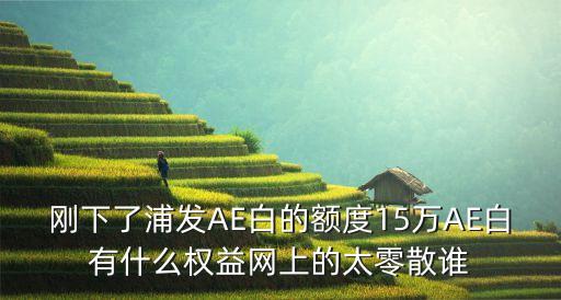 浦發(fā)ae白pp卡有什么用，剛下了浦發(fā)AE白的額度15萬AE白有什么權(quán)益網(wǎng)上的太零散誰
