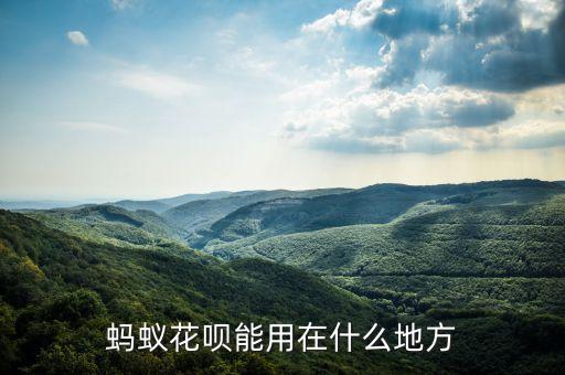螞蟻花唄能用在什么地方