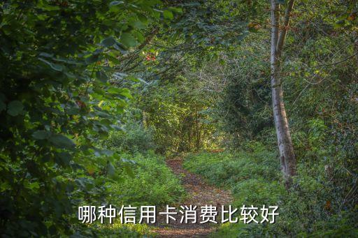 哪種信用卡消費(fèi)比較好