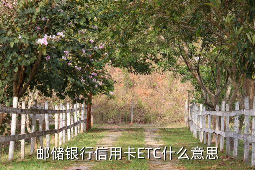 郵儲(chǔ)銀行信用卡ETC什么意思