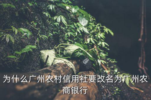 為什么廣州農(nóng)村信用社要改名為廣州農(nóng)商銀行