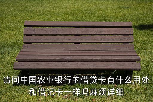 請(qǐng)問(wèn)中國(guó)農(nóng)業(yè)銀行的借貸卡有什么用處和借記卡一樣嗎麻煩詳細(xì)