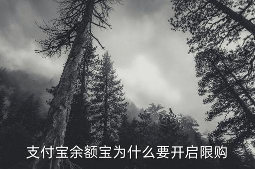 支付寶余額寶為什么要開啟限購