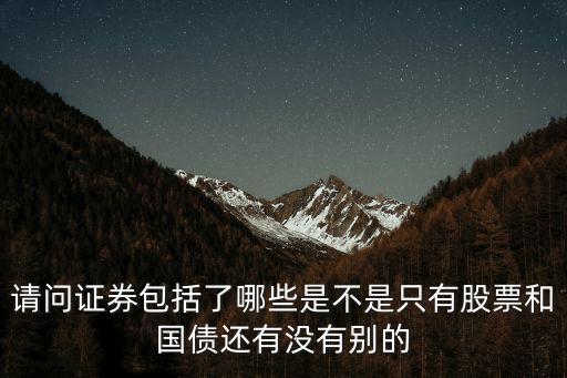 請問證券包括了哪些是不是只有股票和國債還有沒有別的