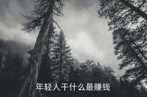 年輕人干什么最賺錢