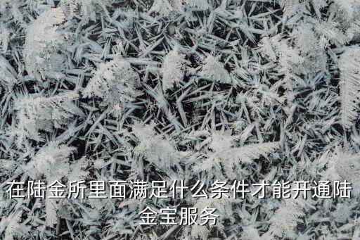 在陸金所里面滿足什么條件才能開通陸金寶服務(wù)