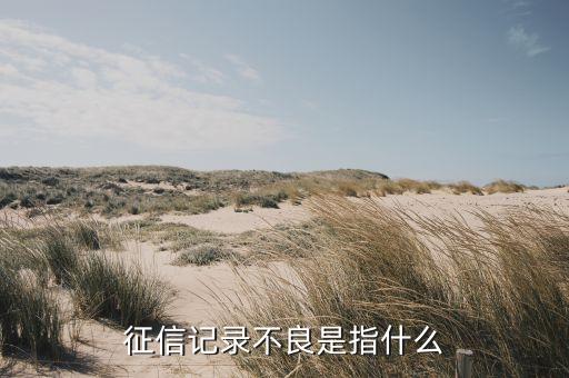征信瑕疵什么意思，PB0C信用瑕疵嚴重是什么意思