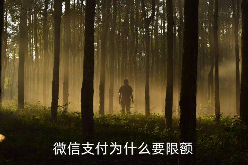 微信為什么轉(zhuǎn)賬限額，為什么我微信轉(zhuǎn)帳限額1萬