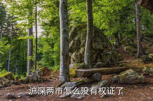 滬深兩市怎么沒有權證了