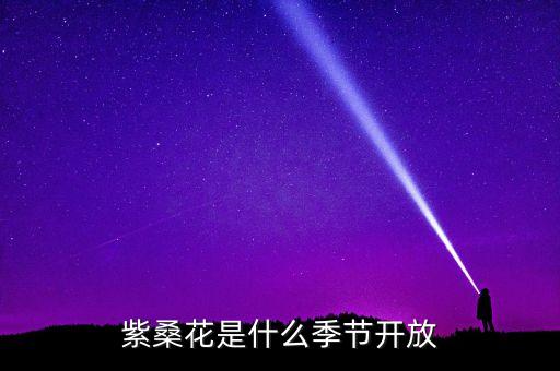 紫?；ㄊ鞘裁醇竟?jié)開放