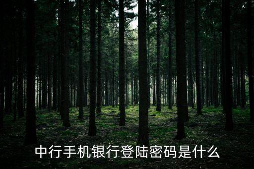 中行登錄密碼是什么意思，中國銀行個人密碼是什么意思