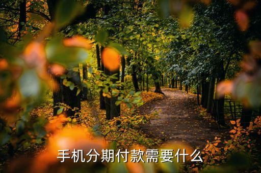 實(shí)體店分期手機(jī)需要什么手續(xù)費(fèi)，iphone6s在實(shí)體店分期付款大概要多少錢
