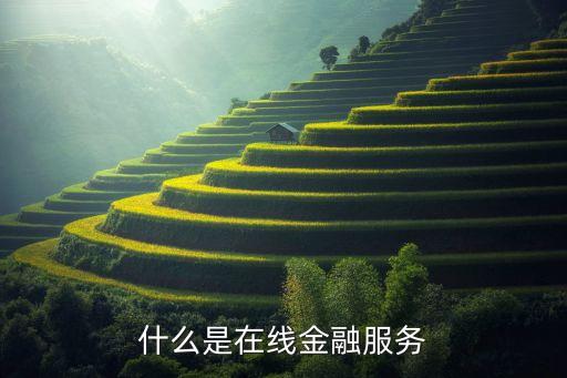 陽車金服平臺(tái)是什么東西，靠譜的車貸平臺(tái)有哪些