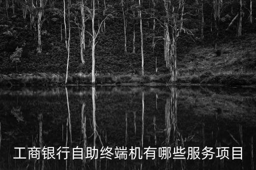 工商銀行自助終端機(jī)有哪些服務(wù)項(xiàng)目