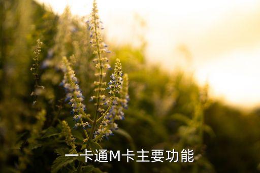 建行一卡通有什么好處，中國(guó)建設(shè)銀行一卡通有什么功能用這卡能開(kāi)網(wǎng)店嗎