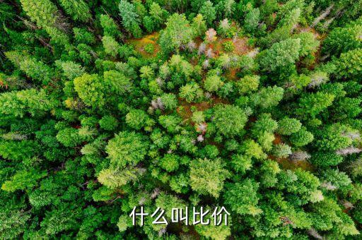 什么叫比價(jià)