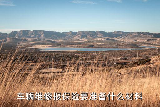 車輛維修報保險要準備什么材料
