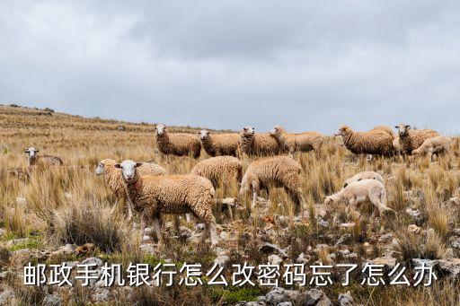 郵政手機(jī)銀行怎么改密碼忘了怎么辦