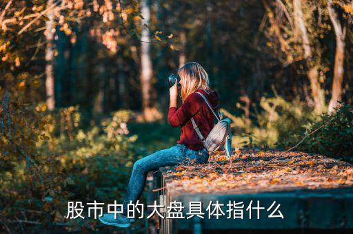 什么叫大盤，什么是大盤主盤副盤在哪看