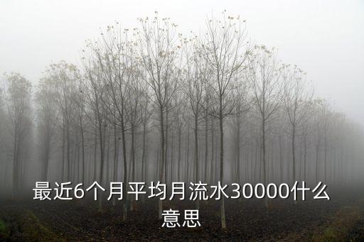 最近6個月平均月流水30000什么意思