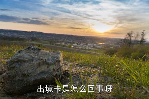 出境卡是怎么回事呀