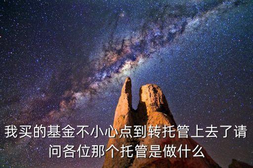 我買的基金不小心點到轉(zhuǎn)托管上去了請問各位那個托管是做什么