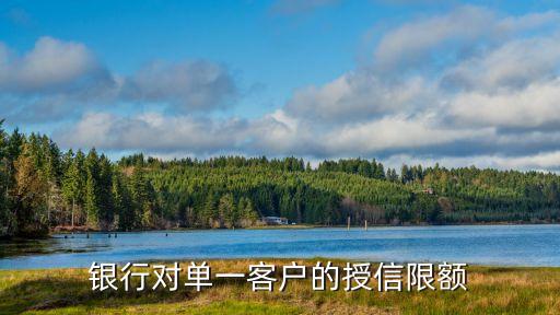 授信額度是什么，銀行對單一客戶的授信限額