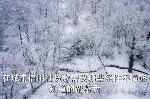 在城市信用社貸款需要哪些條件不懂誰(shuí)知道的幫幫我