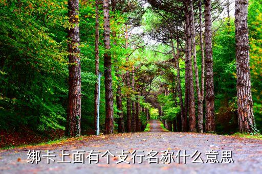綁卡上面有個支行名稱什么意思