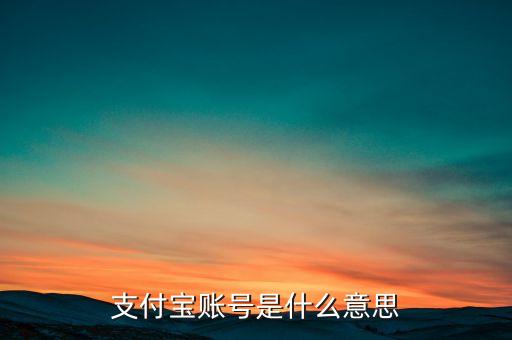 支付賬號(hào)是什么意思，支付帳號(hào)銀行卡號(hào)是什么意思 啊