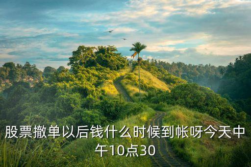 撤單什么時候到賬，股票撤單后顯示己報撤單資金什么時候到賬