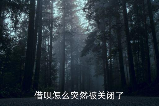 借唄怎么突然被關(guān)閉了
