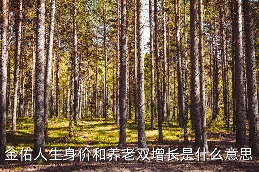 什么是金佑人生，金佑人生十萬壽險十萬大病什么意思