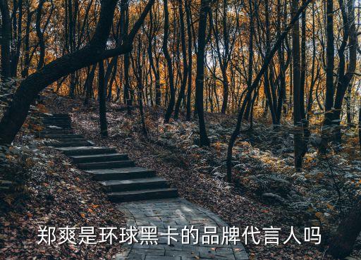 鄭爽的黑卡是什么卡，黑卡是什么有多厲害 鄭爽曬黑卡秒刪