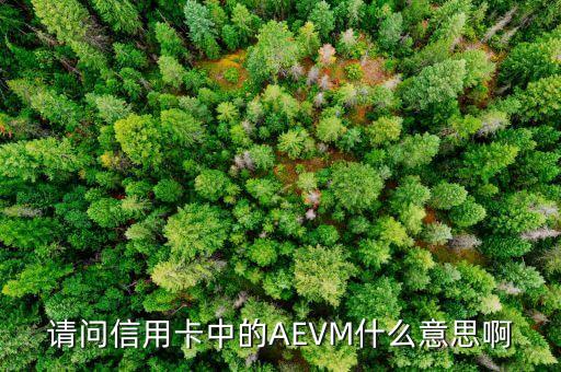 ae全幣種卡是什么意思，全幣種卡是什么意思和雙幣種有區(qū)別嗎
