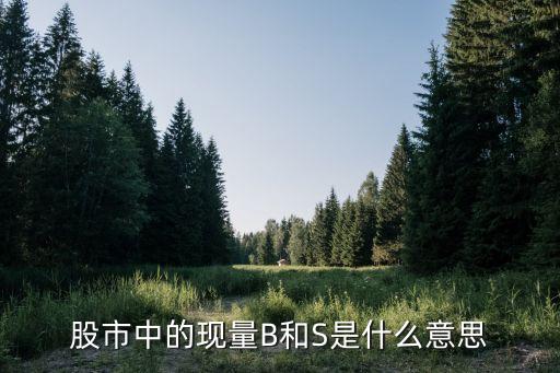 股票中出現(xiàn)b是什么意思，股票中的S和B都帶表什么