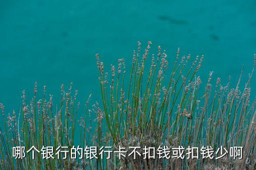 什么銀行卡不用扣錢嗎，哪個(gè)銀行的銀行卡不用每年都扣錢