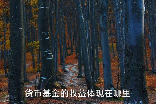 貨幣基金的收益體現(xiàn)在哪里