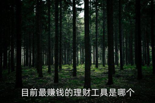 目前最賺錢的理財(cái)工具是哪個(gè)