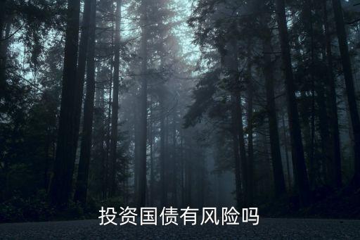 投資國債有風(fēng)險嗎