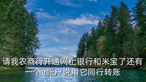 農(nóng)商e賬戶有什么好處，e賬戶是什么意思有什么用處謝謝